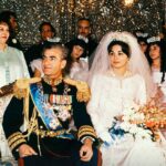 زندگی آخرین خاندان سلطنتیمحمدرضا پهلوی به سریال تلویزیونی تبدیل می