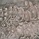 کشف قبرهای اسرارآمیز اسب باستانی با قدمت 2 هزار سال