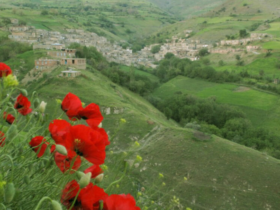 کوه سارال کجاست؟