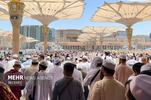 3 زائر عربستانی به ایران بازگشتند