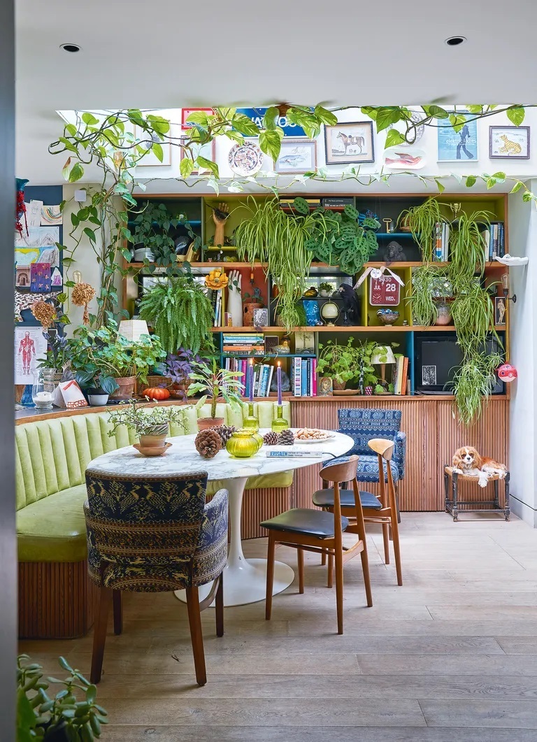 تصاویر خلاقانه ترین ایده ها برای چیدمان گیاهان آپارتمانی