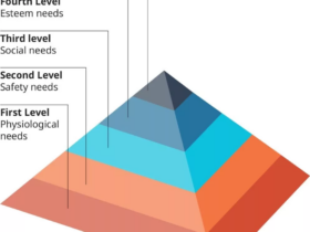در مورد هرم مزلو چه می دانید؟