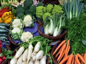 چگونه طراوت سبزیجات خرد شده را حفظ کنیم؟