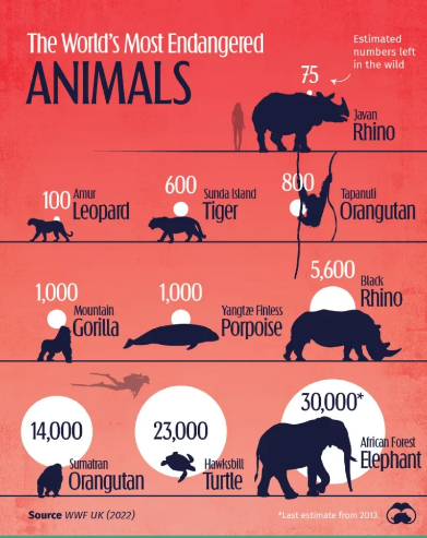 این حیوانات در خطر انقراض هستند