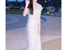 بازیگر درام دونگ یی در یک مراسم ویژهعکس