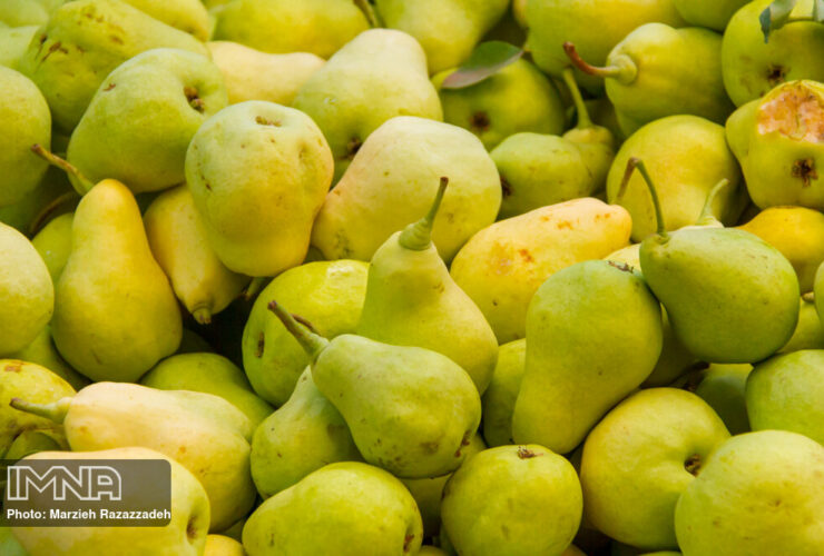 گلابی چه خواصی دارد؟ مضرات مصرف این میوه برای