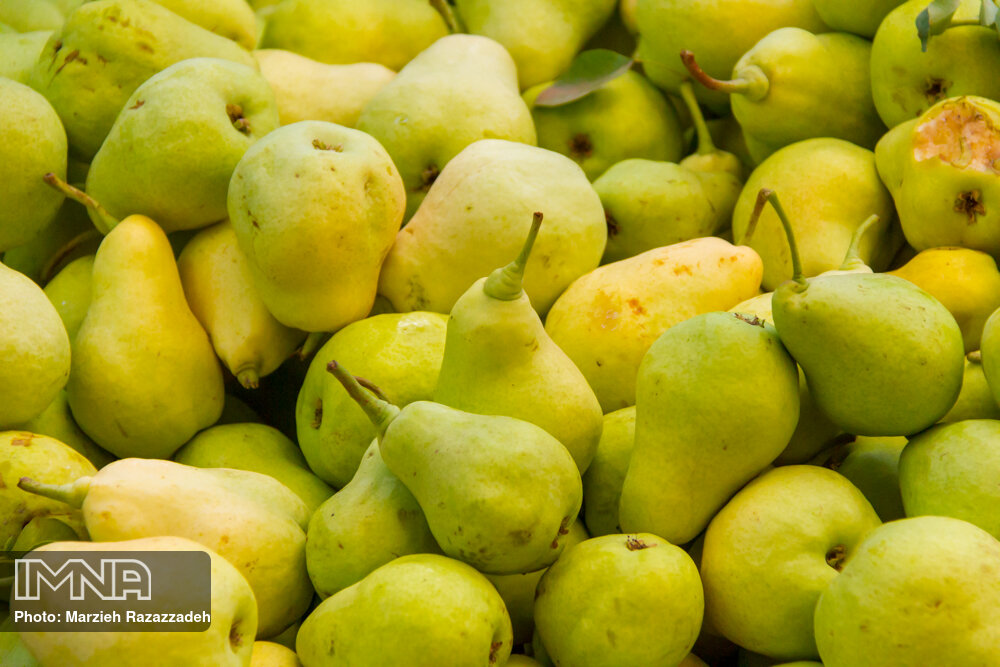 گلابی چه خواصی دارد؟ مضرات مصرف این میوه برای