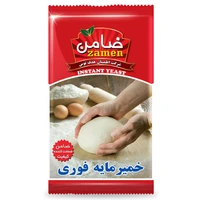 خمیر مایه تضمینی - 47 گرم