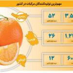 این شهر به پرتقال هایش معروف است قطب مرکبات ایران