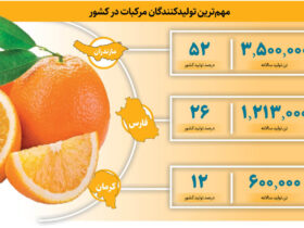 این شهر به پرتقال هایش معروف است قطب مرکبات ایران