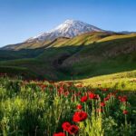 برای گردش یک روزه تهران کجا برویم؟ 6 مقصد رویایی