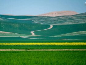 تصویری باشکوه از طبیعت باشکوه کویر ترکمن در گلستان