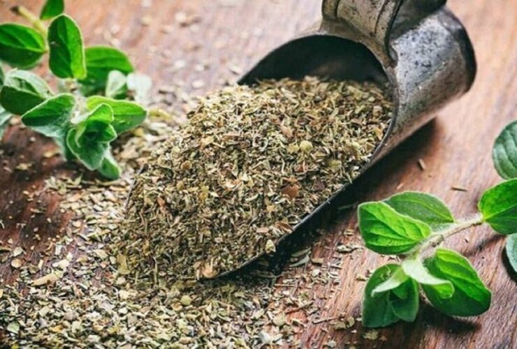 خواص آویشن/آویشن برای چه کسانی مضر است؟ 30 خواص آویشنآویشن برای چه کسانی مضر است؟