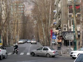 روستایی در تهران که شهر برج شد