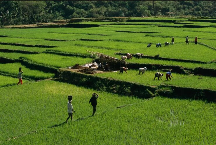 مردم کوچک اندونزی چه بودند؟