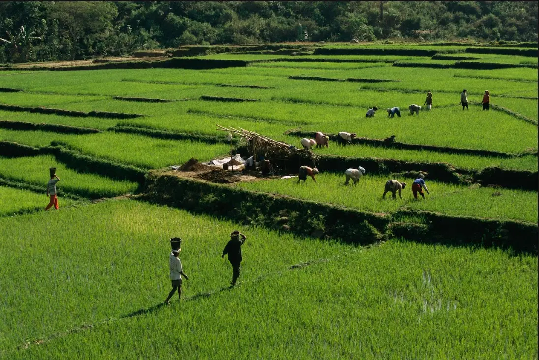 مردم کوچک اندونزی چه بودند؟