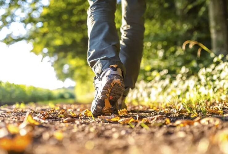 تاثیر پیاده روی در بهبود متابولیسم و ​​کاهش وزن