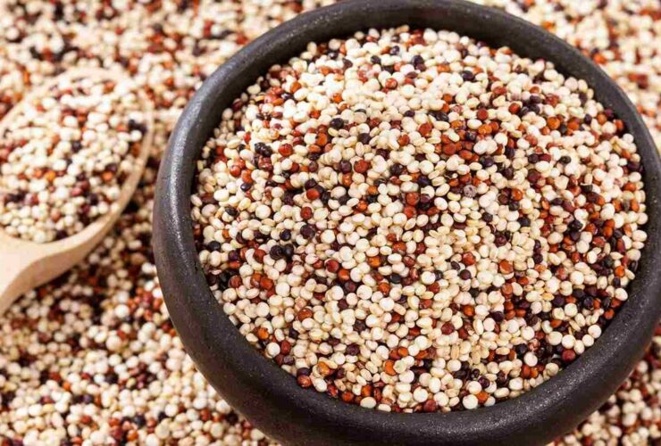 خواص کینوا در طب سنتی روش مصرف برای کاهش