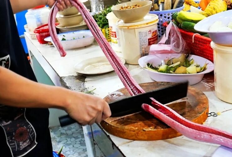غذاهای خیابانی در ویتنام؛ غذاهای با مار، برنج و سبزیجات