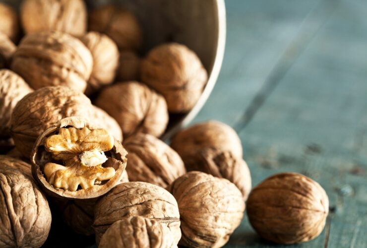 ویدئو فواید گردو در کاهش چربی خون