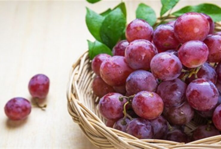 آیا ترکیب شیمیایی انگور قرمز از سرطان روده بزرگ جلوگیری