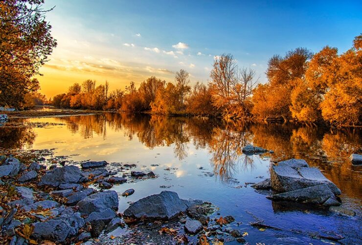 از تفل تا حافظ در روز پنجشنبه 24 دی 1403