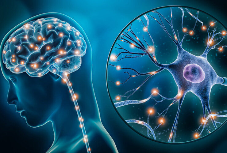 ام‌اس؛ بیماری مرموز سیستم عصبی