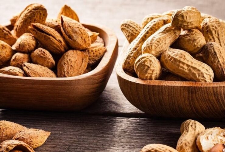 بادام یا بادام زمینی کدامیک پروتئین بیشتری دارد؟