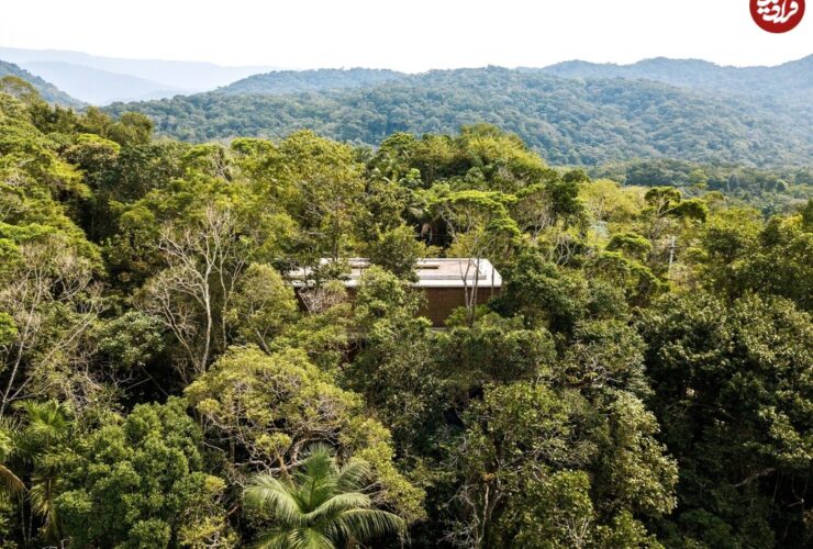 تصاویر خانه ای خارق العاده از چوب و بتن در