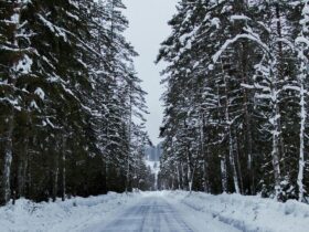 تصاویری باشکوه از زیبایی زمستان در جاده برفی درازنو در