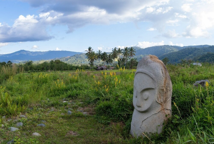 تصویر مجسمه های مرموز دره بادا در اندونزی