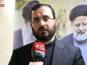 محمد هاشمی رئیس سازمان اوج شد