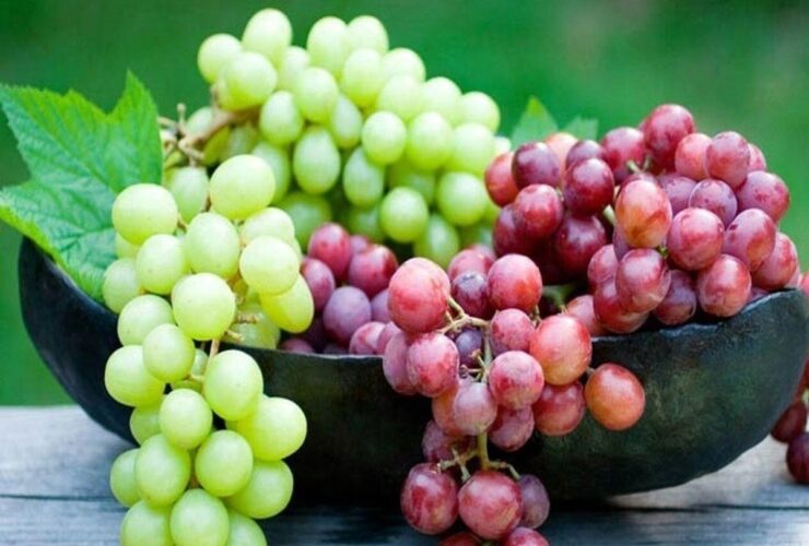 میوه ای که می تواند به سوزاندن کالری کمک کند