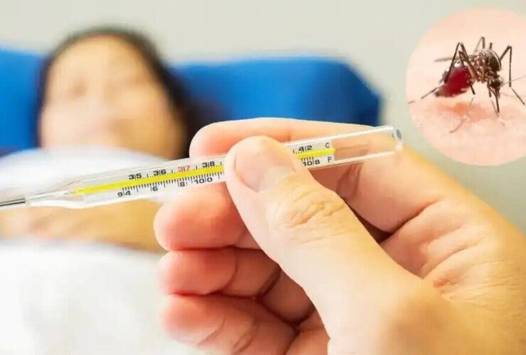 هشدار تب دنگی در ایران؛ از هر 4 نفر 3 نفر هیچ علامتی ندارند 28 هشدار تب دنگی در ایران؛ از هر 4 نفر 3