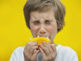ویژگی ها و مضرات غذاهای ترش مزه