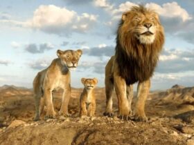 Mufasa The Lion King بار دیگر در صدر باکس آفیس