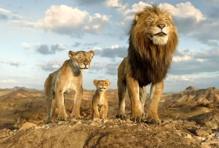 Mufasa The Lion King بار دیگر در صدر باکس آفیس