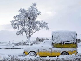 تفل به حافظ، دوشنبه 10 بهمن 1403 اگر آن پرنده