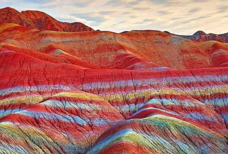 تنها زمین خوراکی جهان در ایران