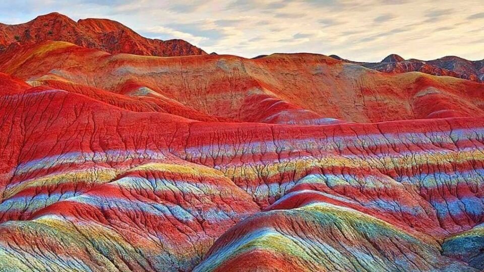 تنها زمین خوراکی جهان در ایران