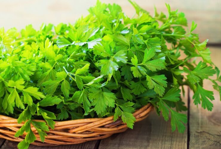 سبزی حاوی 3 برابر ویتامین C بیشتر از پرتقال 28 سبزی حاوی 3 برابر ویتامین C بیشتر از پرتقال