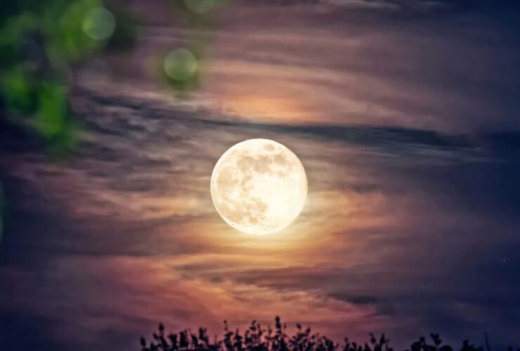 شنبه 2 بهمن 1387 در ماه نگاه شما از تفعلی