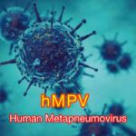 علائم HMPV شبیه سرماخوردگی و آنفولانزا است