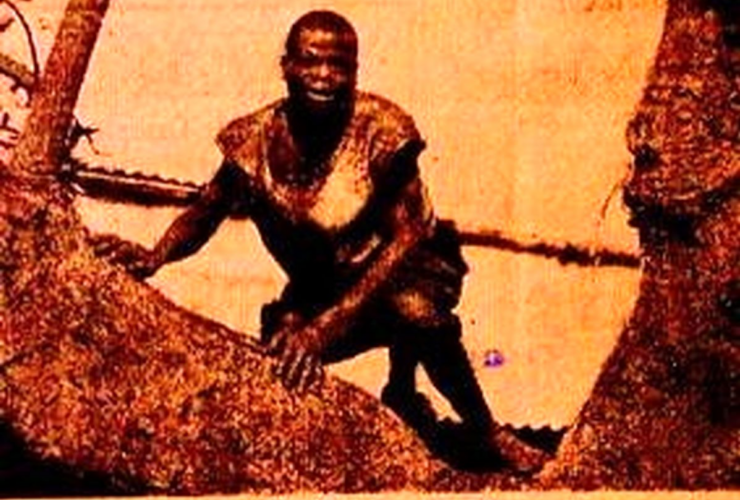 لوکاس؛ یک کودک وحشی در حال سفر با میمون ها