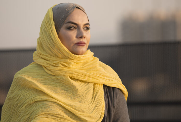 او امیدوار بود که برای استعفای شورای کارشناسی Narges Abyrin