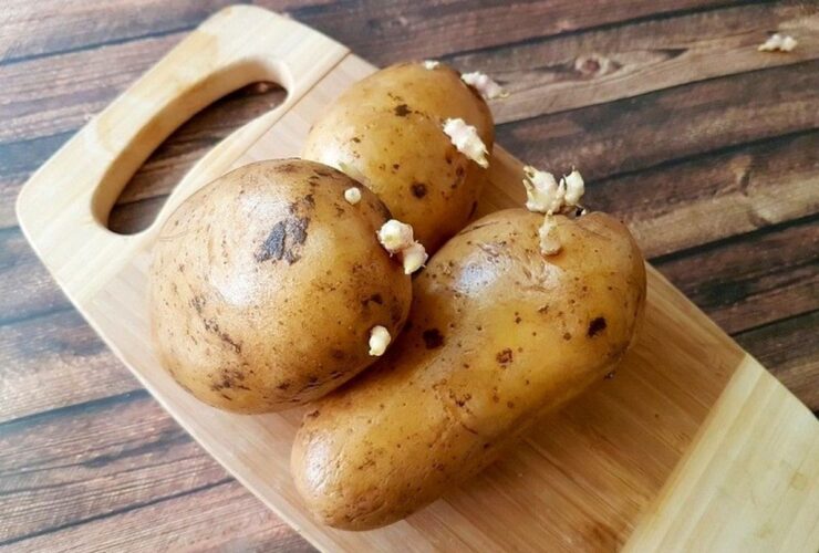 این سیب زمینی ها را بردارید 7 bato-adv