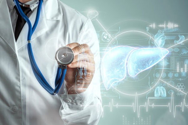 برای تمیز کردن کبد چه می توانیم بخوریم؟ + تأثیر عرق کاسنی بر روی کبد
