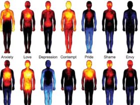 دانشمندان فاش کردند که هر احساسی بر قسمتهای مختلف بدن