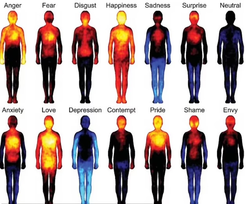 دانشمندان فاش کردند که هر احساسی بر قسمتهای مختلف بدن