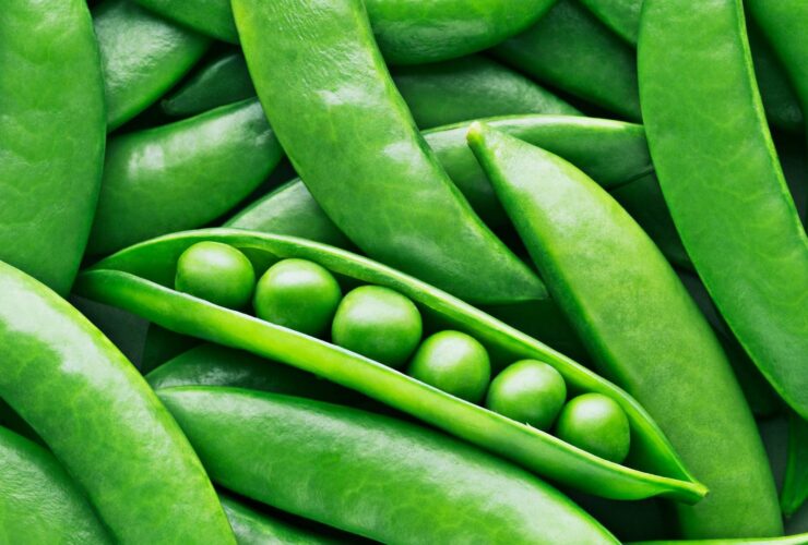 سبزیجات با پروتئین بیشتر از تخم مرغ